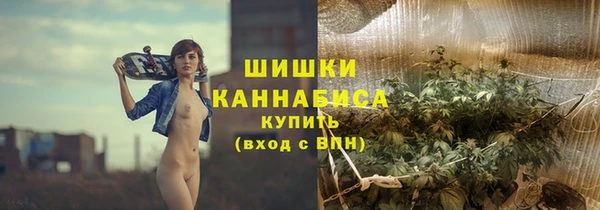 гидра Михайловск