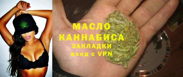 гашик Михайлов
