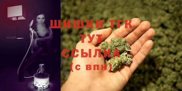 гашик Михайлов