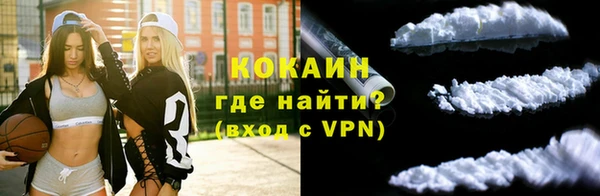 гашик Михайлов