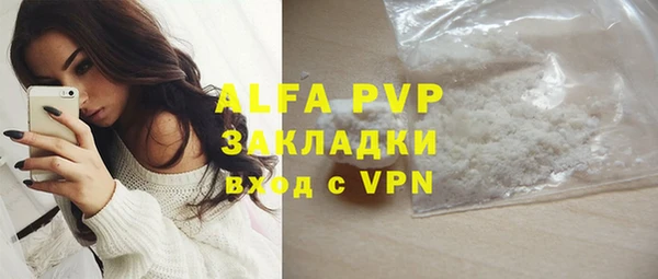 гидра Михайловск
