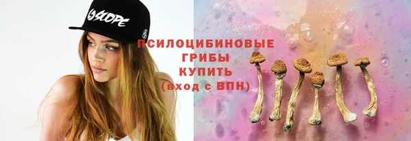 гашик Михайлов