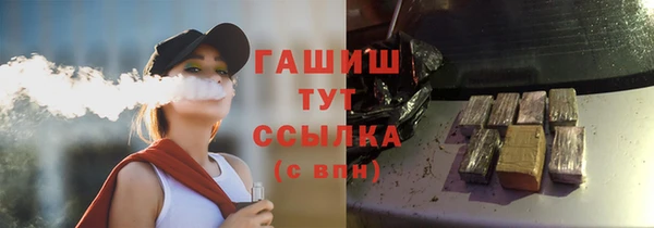 гашик Михайлов