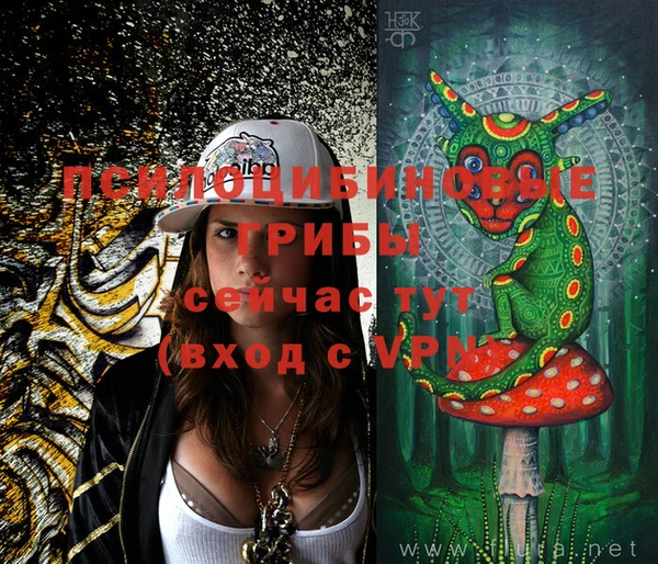 гашик Михайлов