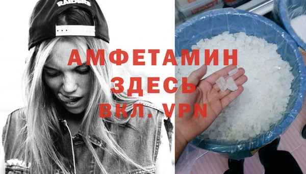 гидра Михайловск