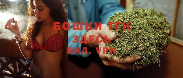 гашик Михайлов