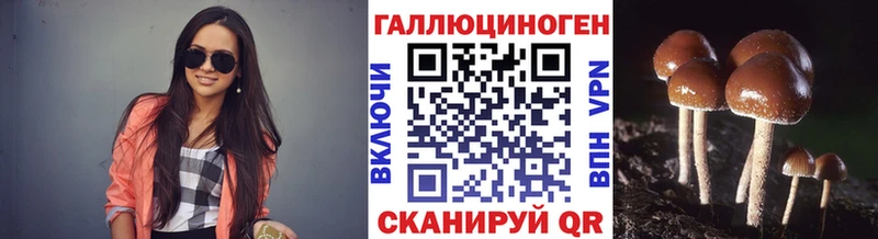Галлюциногенные грибы прущие грибы  Краснообск 